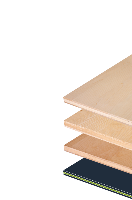 TILLY Three-layer hardwood panel