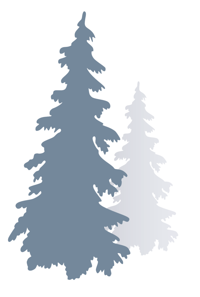 Pinr trees 2 off