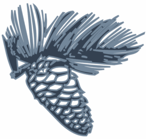 Pinecone-800
