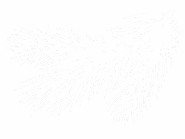 fern-branch-white